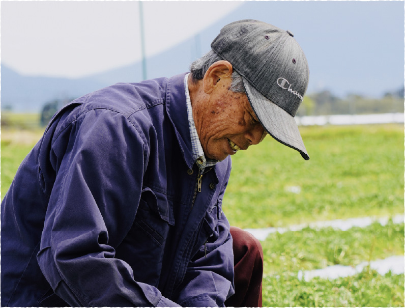 日本産マカの希少性と長い年月